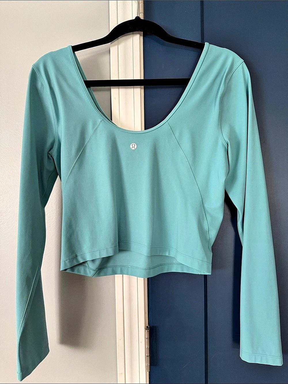 lululemon align tee long sleeve Scoop Back Long Sleeve Crop Top in Blue 10/12